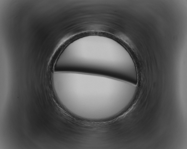 X0000086010926200703230907