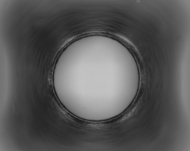 X0000086010929200703230907