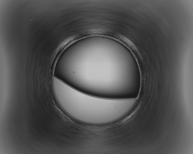 X0000086010930200703230907