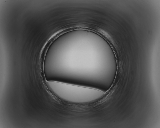 X0000086010931200703230907