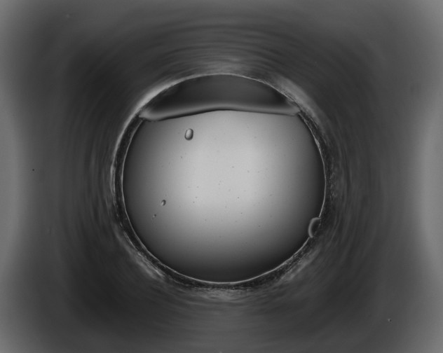 X0000086010932200703230908