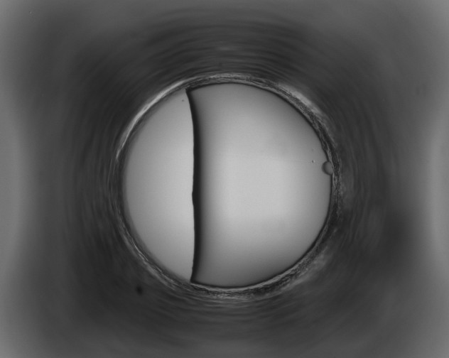 X0000086010933200703230908