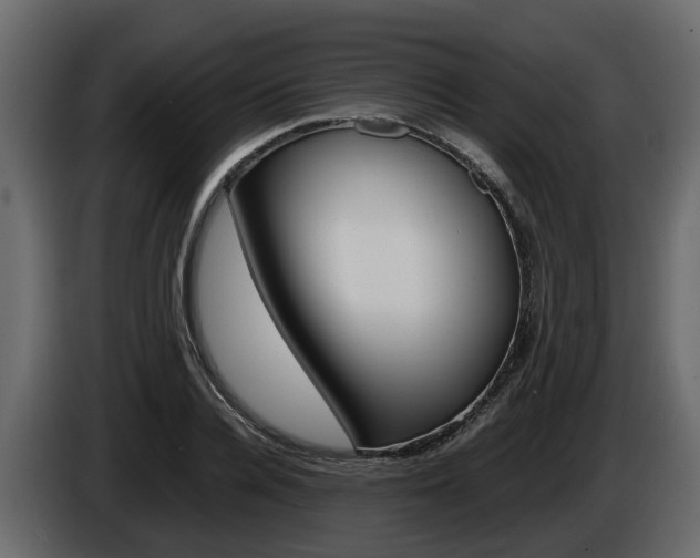 X0000086010936200703230908