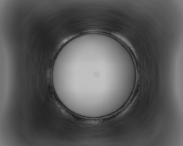 X0000086010937200703230908