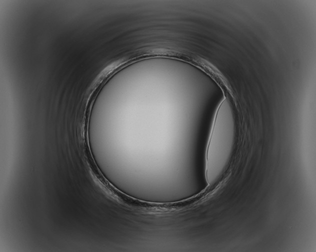 X0000086010938200703230908