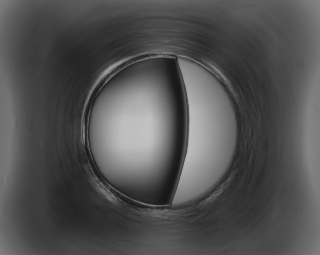 X0000086010940200703230908