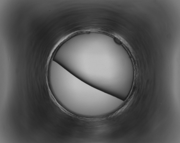X0000086010941200703230908