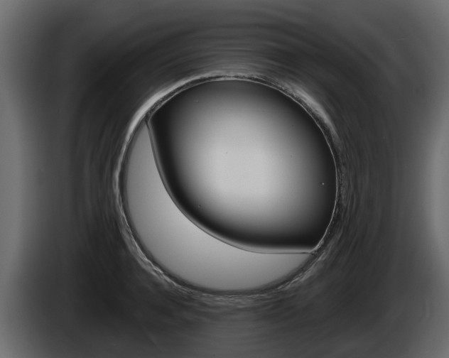 X0000086010944200703230908