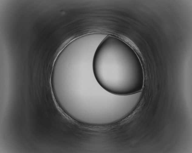X0000086010946200703230908