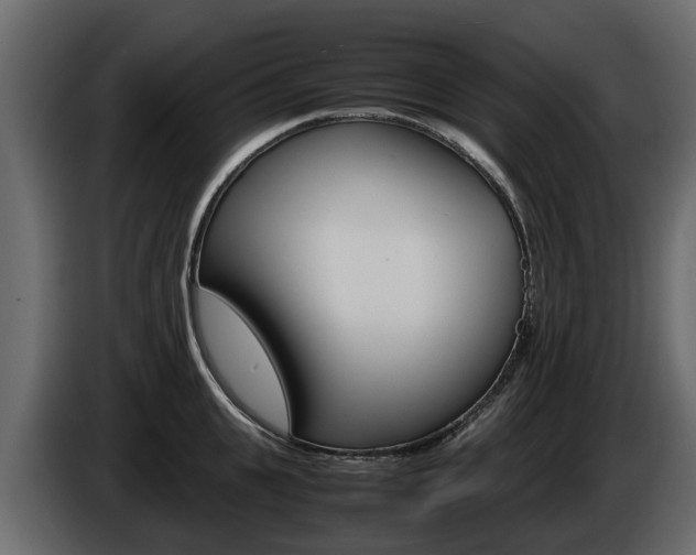 X0000086010951200703230908