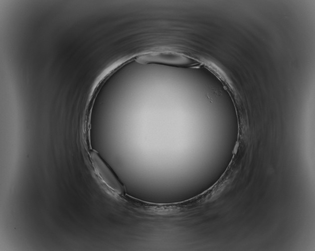 X0000086010952200703230908