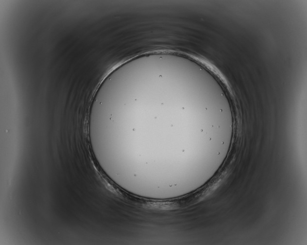 X0000086010953200703230908
