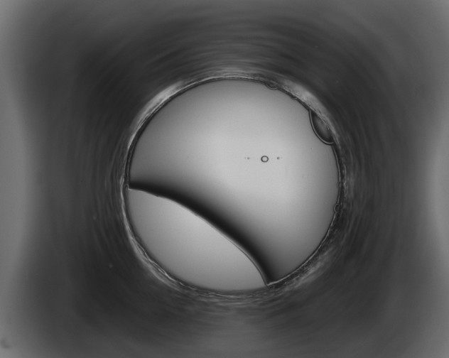 X0000086010954200703230908