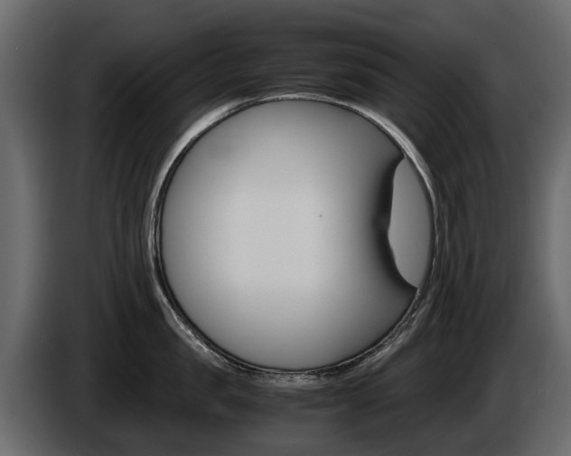 X0000086010957200703230908