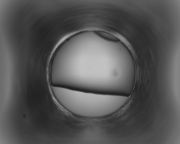 X0000086010958200703230908