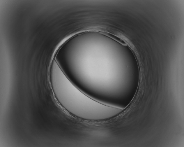 X0000086010960200703230908