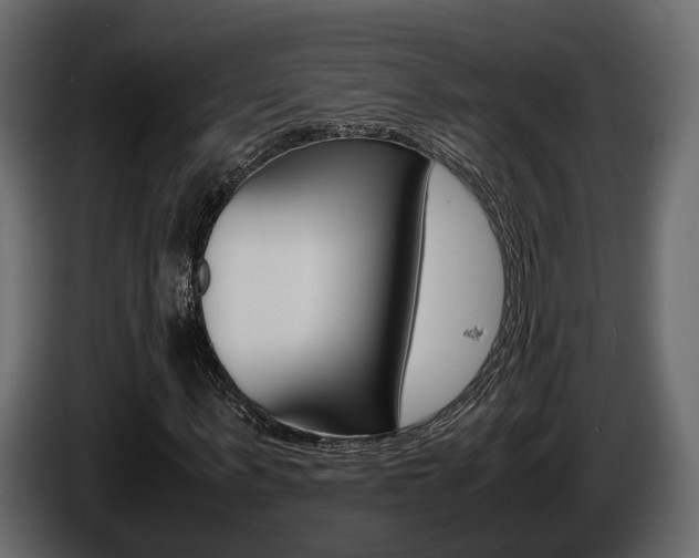 X0000086010963200703230907
