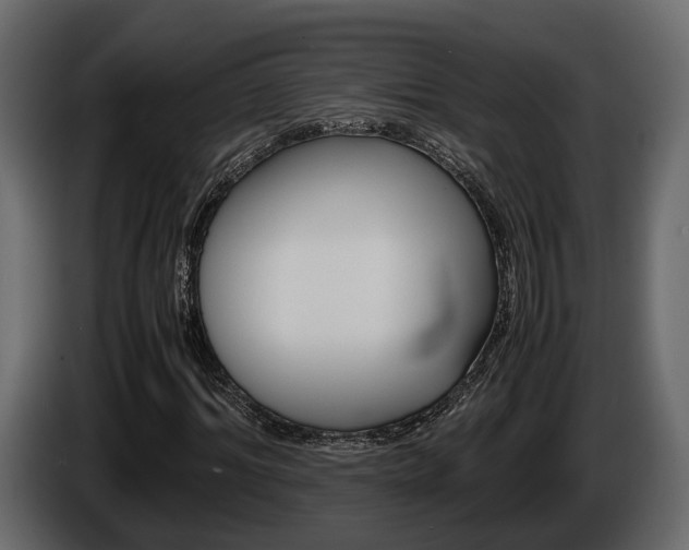 X0000086010964200703230907