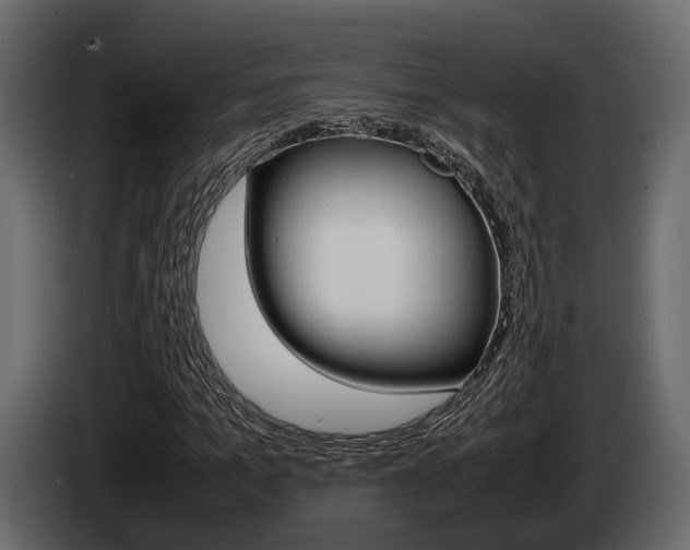 X0000086010965200703230907