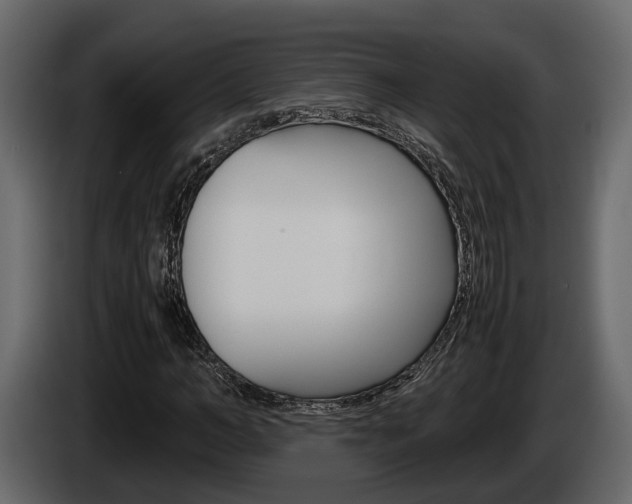 X0000086010966200703230907