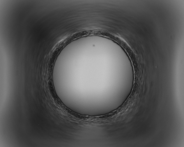 X0000086010967200703230907