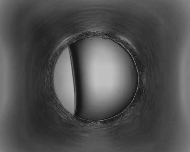X0000086010968200703230907