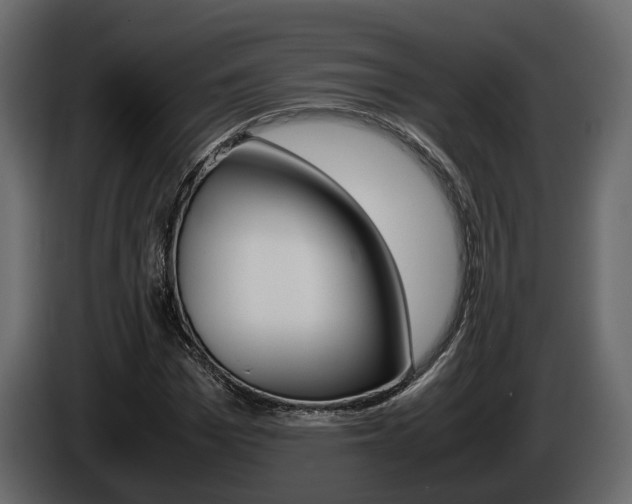 X0000086010969200703230907