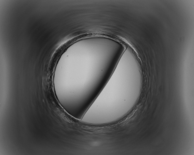 X0000086010971200703230907