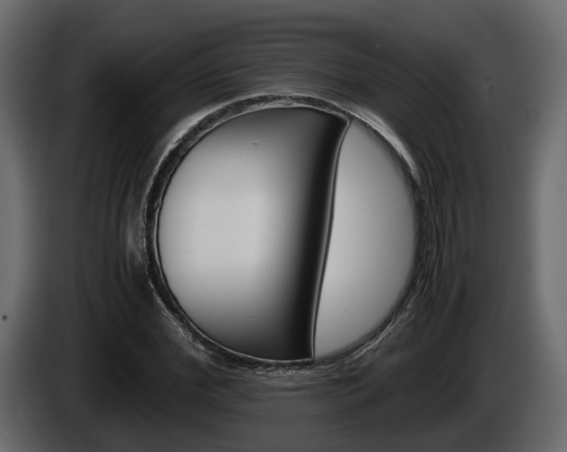 X0000086010972200703230907