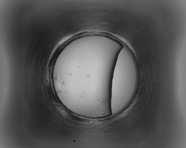 X0000086010974200703230907