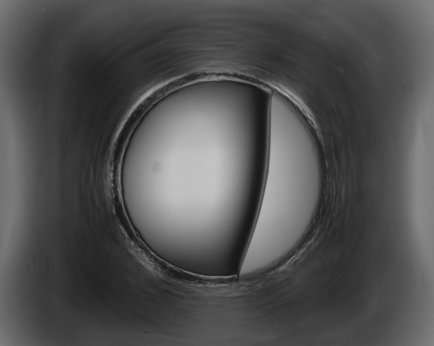 X0000086010976200703230907