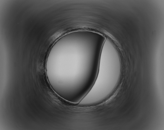 X0000086010977200703230907