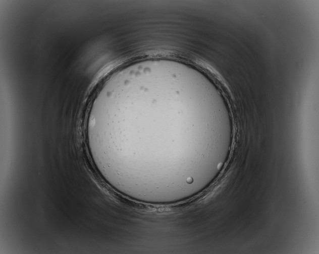 X0000086010978200703230907