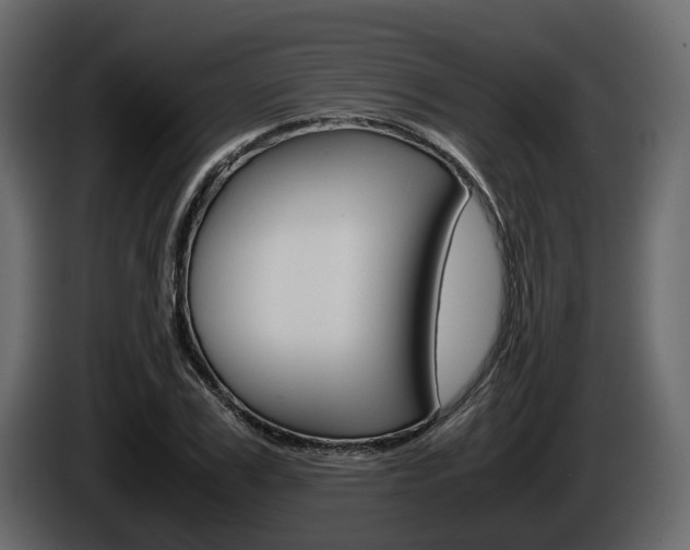 X0000086010979200703230907