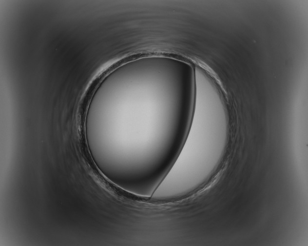 X0000086010981200703230907