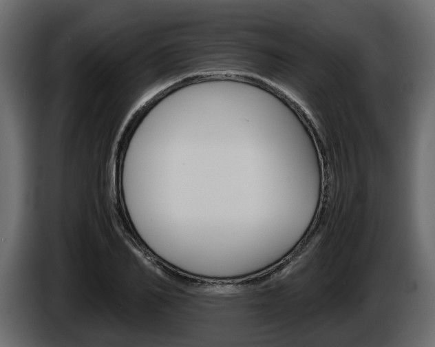 X0000086010982200703230907