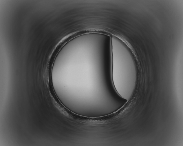 X0000086010984200703230907