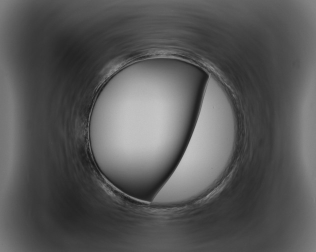 X0000086010985200703230907