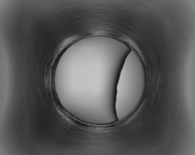 X0000086010986200703230907