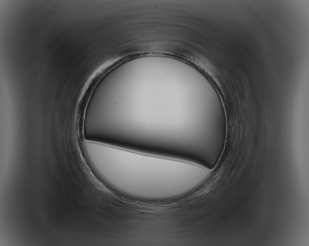 X0000086010987200703230907