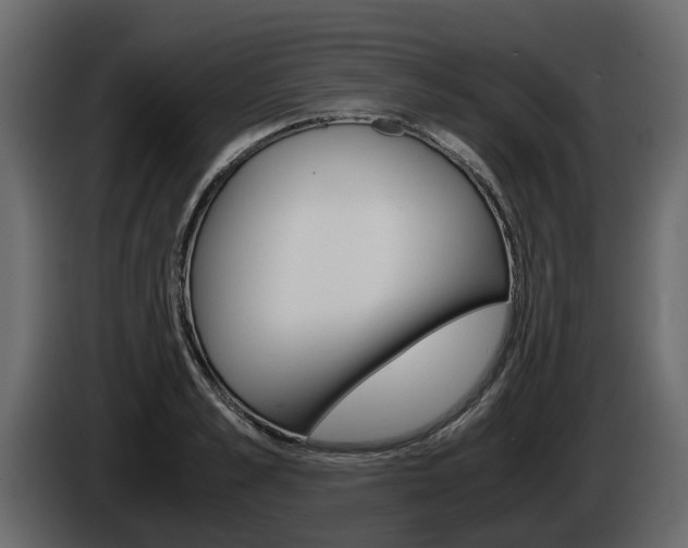 X0000086010989200703230907