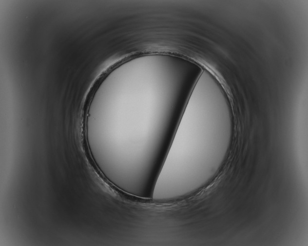X0000086010992200703230907