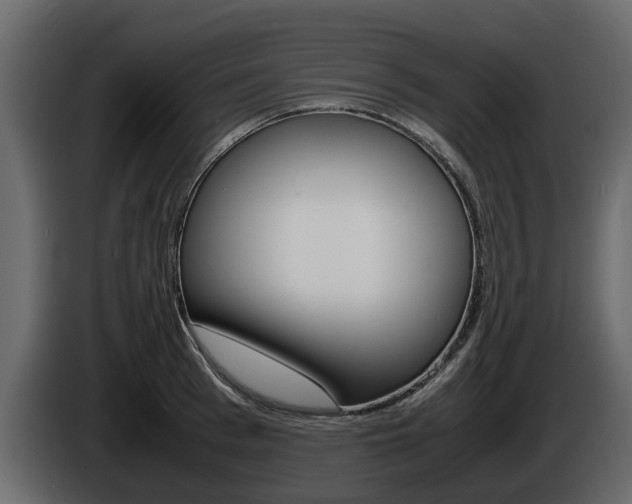 X0000086010993200703230907
