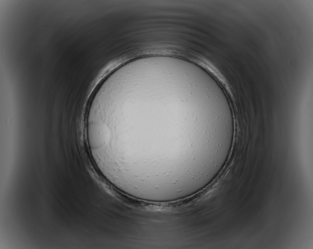 X0000086010994200703230907