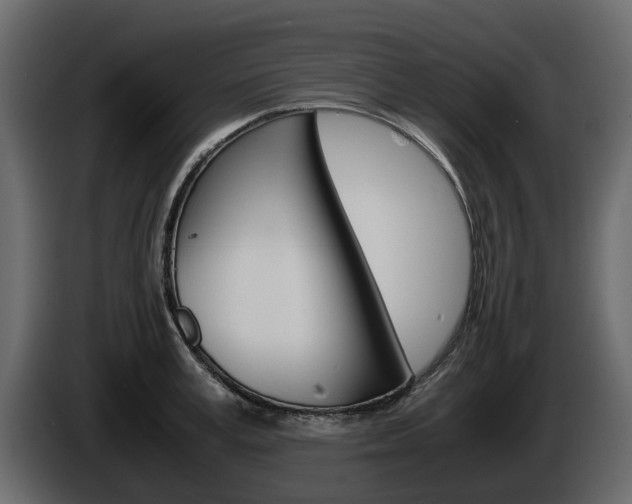 X0000086010995200703230907