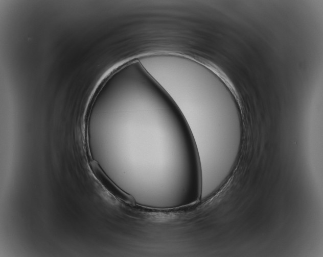 X0000086010996200703230907