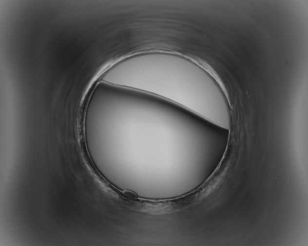 X0000086010997200703230907