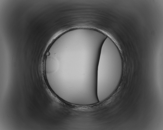 X0000086010998200703230907