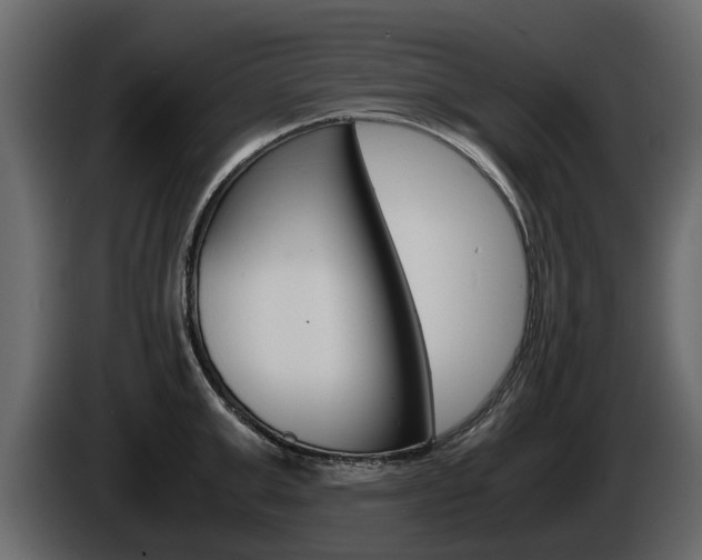 X0000086010999200703230907