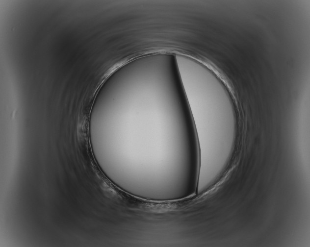 X0000086011001200703230907